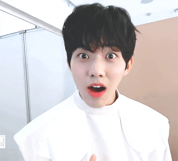 우리 토리 너무 귀여워서 오쪼지 ㅜㅜㅠ | 인스티즈