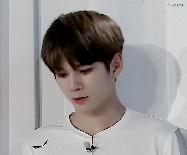 내가 가장 귀여워하는 옹깅이짤 | 인스티즈