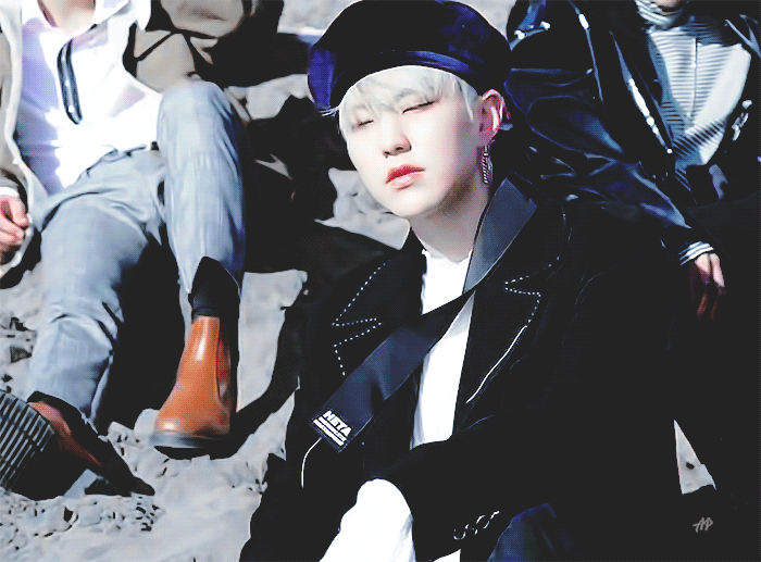 타팬들의 의견이 궁금하다.... 햄찌🐹 vs 호랑이🐯 | 인스티즈