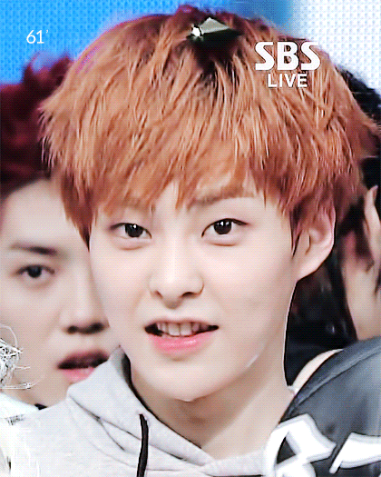 [잡담] 시우민은 고양이 아니냐고 | 인스티즈