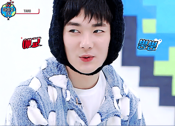 [잡담] 울 애기 갓 태어나서 눈 못뜨는 강아지가 틀림없삼ㅠㅠㅠㅠ | 인스티즈