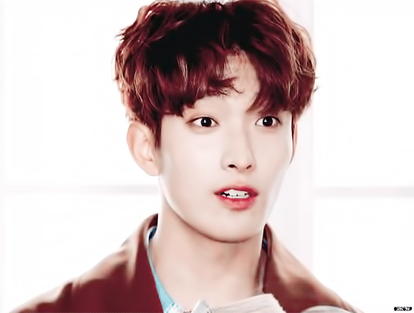 동화책 읽어주는 아이돌이라니... (주어 세븐틴 도겸) | 인스티즈