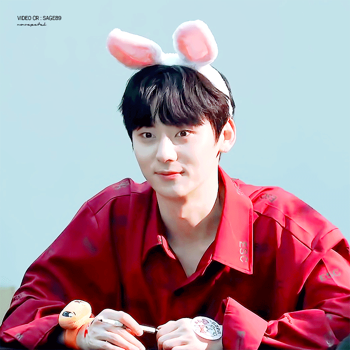 최애는 최애 | 인스티즈