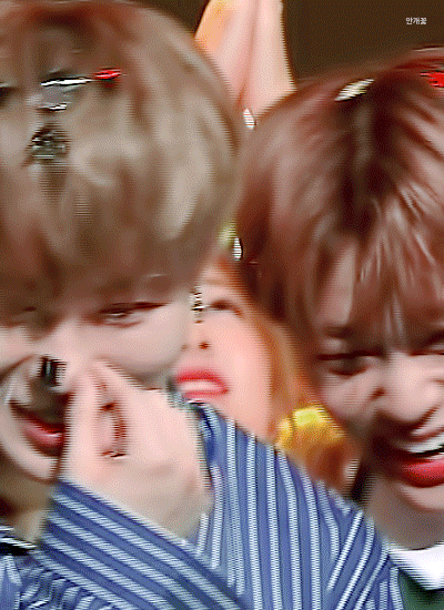 강아지 모음집 🐶 | 인스티즈