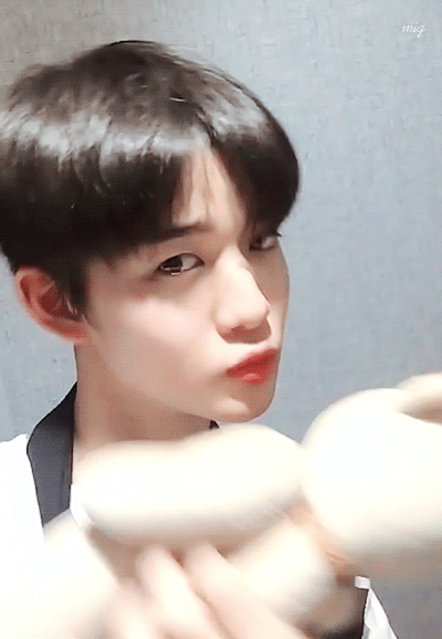 배옵이라니 양심 어디갔어 진짜 | 인스티즈