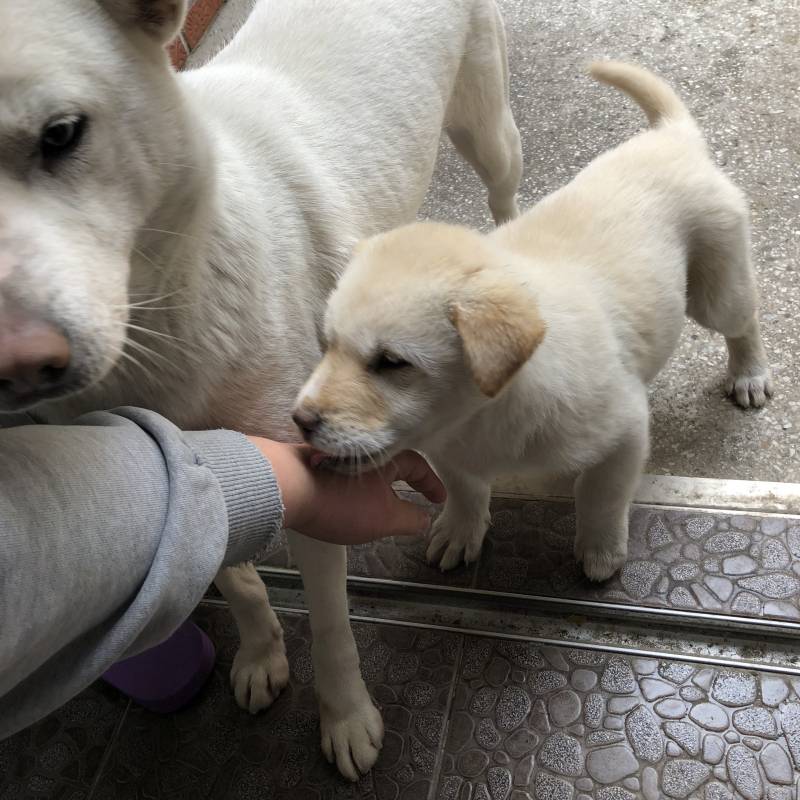 아니 얘네 왜 내 다리사이에서 정모하니.. +) 사진추가 | 인스티즈