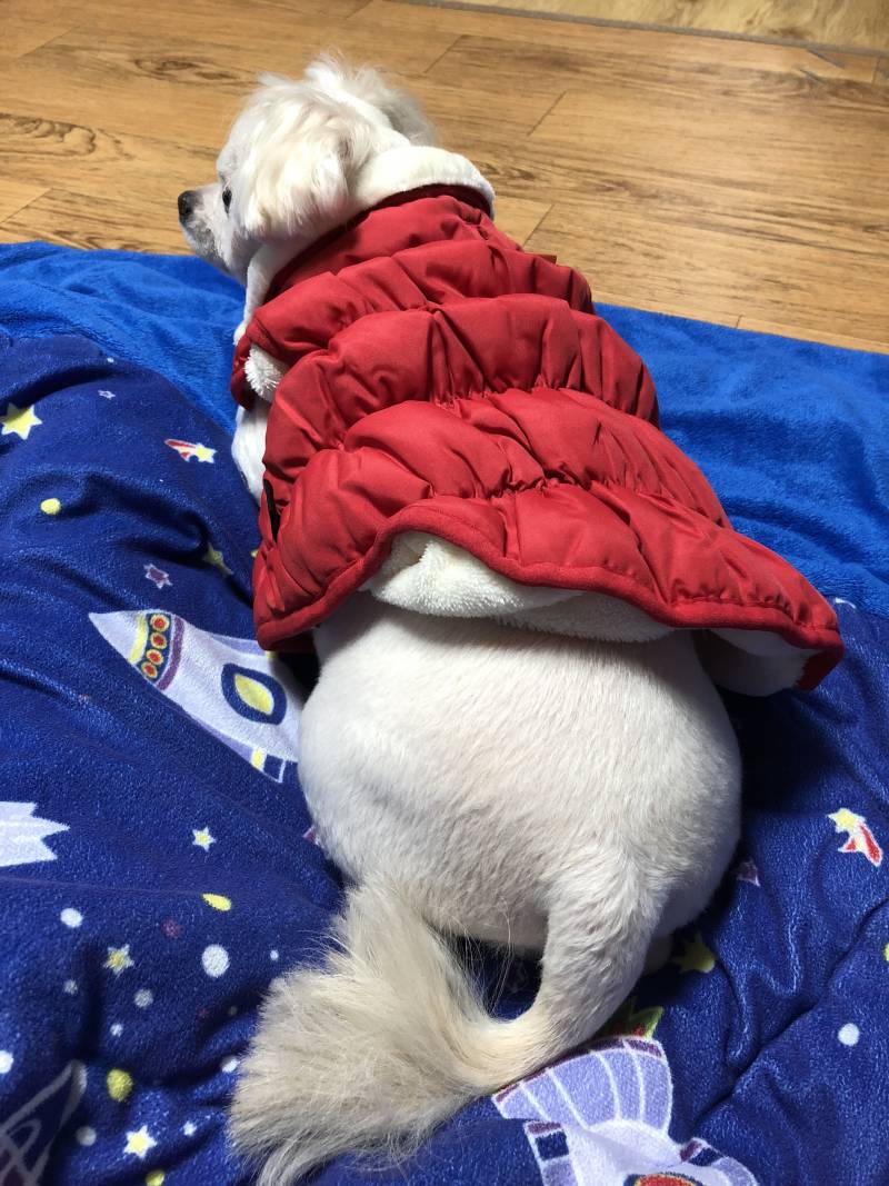 만지고싶은 엉덩이 | 인스티즈