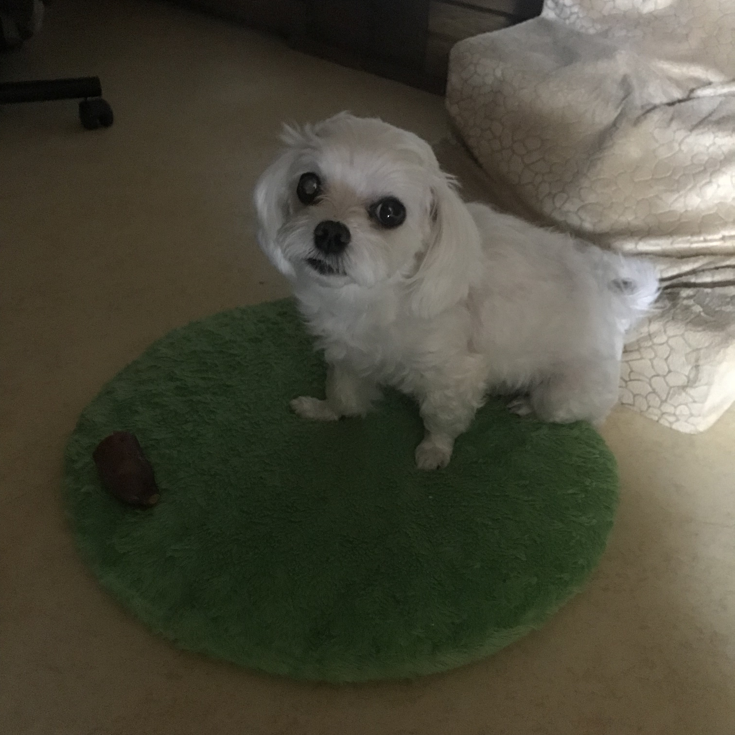 우리집 도둑 들음 | 인스티즈