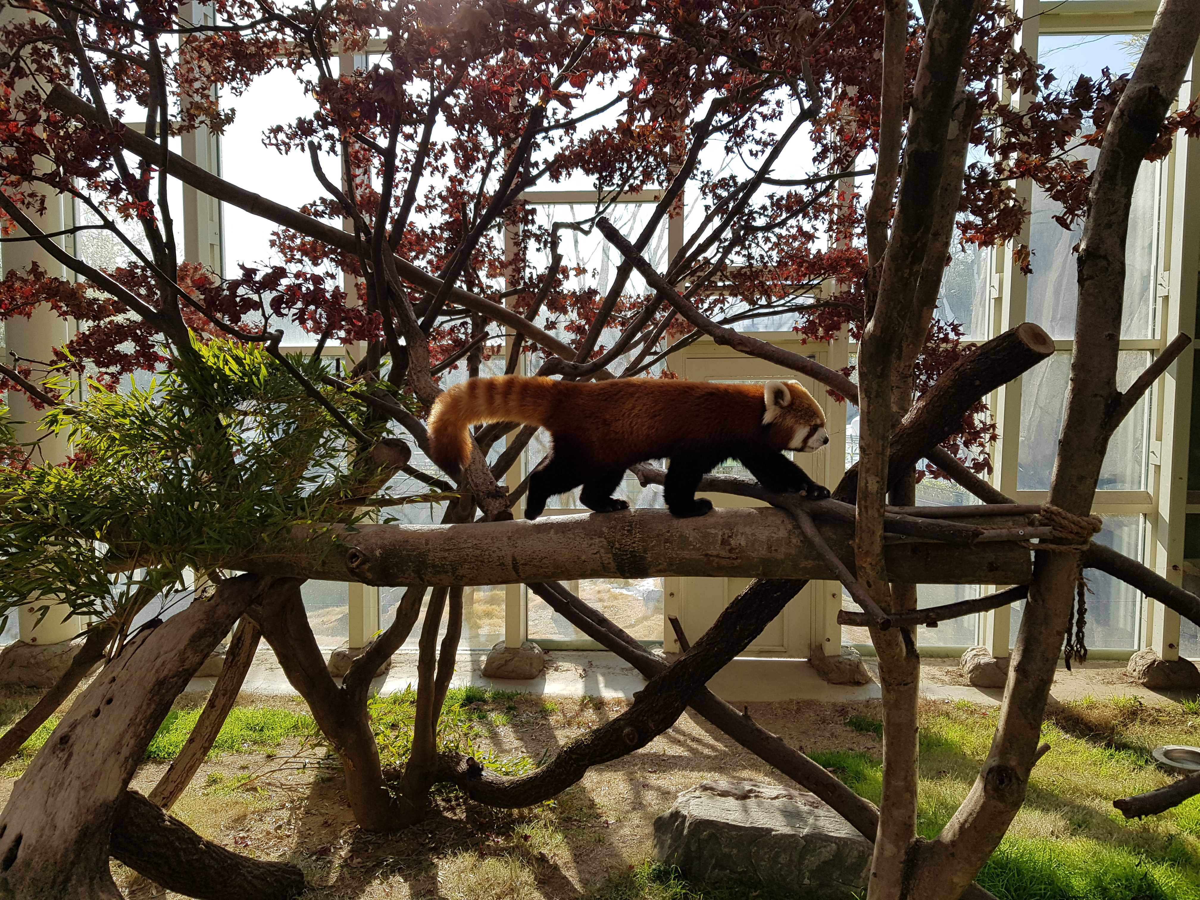 내가 카메라 때문에 갤럭시를 못 벗어남 | 인스티즈