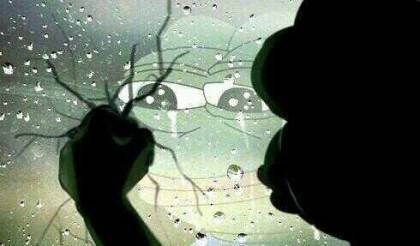 나 이제 고3인데 자괴감든다진짜 | 인스티즈