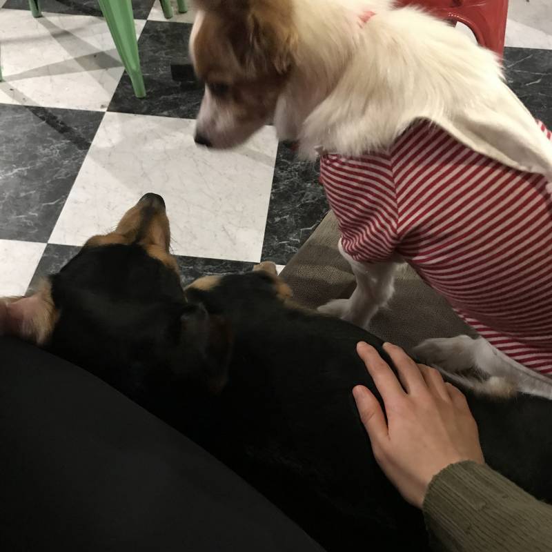 내 손 설레지않아????40 | 인스티즈