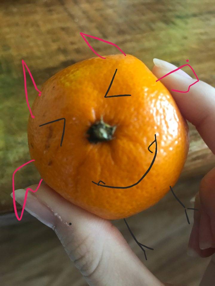 ㅋㅋㅋㅋ내가 남자친구한테 귤사진 보냈는데 ㅋㅋㅋㅋ남친이 그림그려서 다시보냄40 | 인스티즈