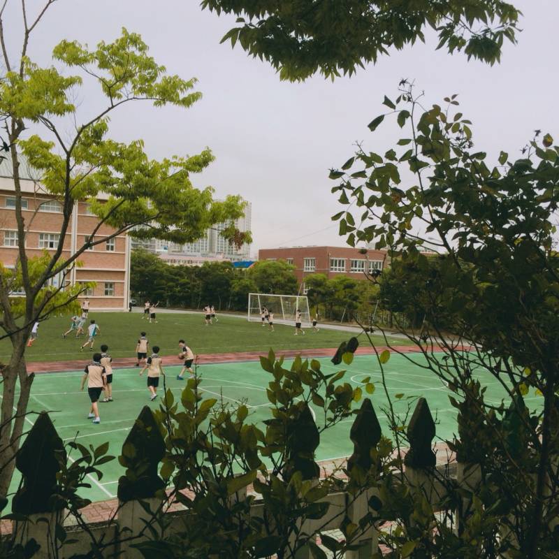 내가 찍은 사진 구경 할 사람~ | 인스티즈