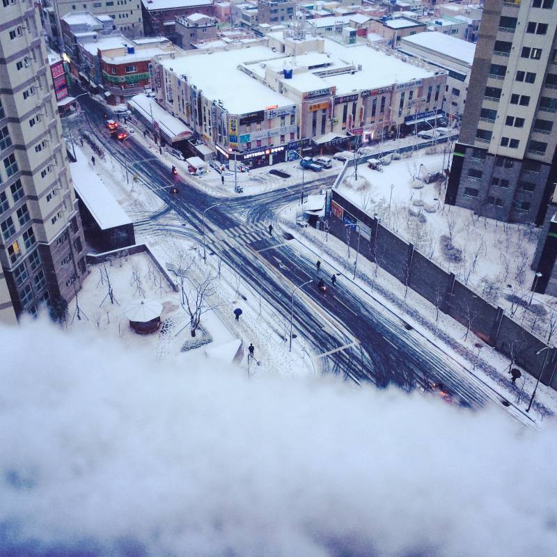 내가 찍은 사진 구경 할 사람~ | 인스티즈