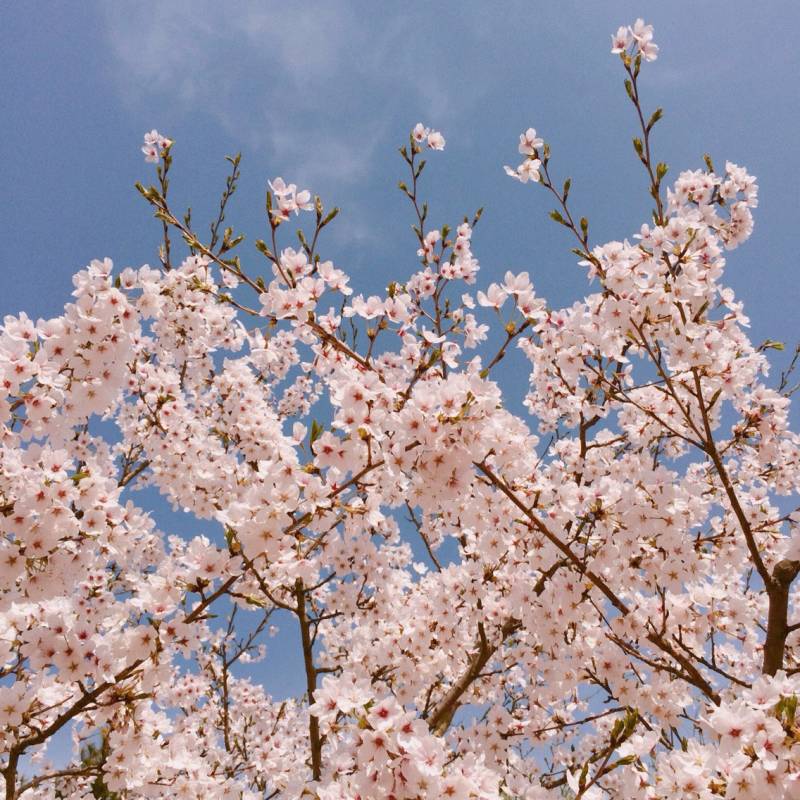 내가 찍은 사진 구경 할 사람~ | 인스티즈