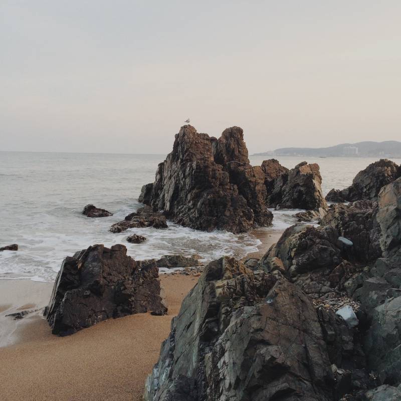 내가 찍은 사진 구경 할 사람~ | 인스티즈