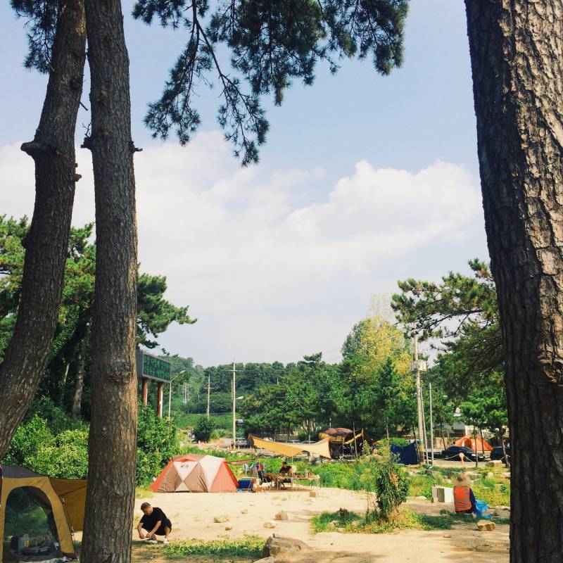 내가 찍은 사진 구경 할 사람~ | 인스티즈