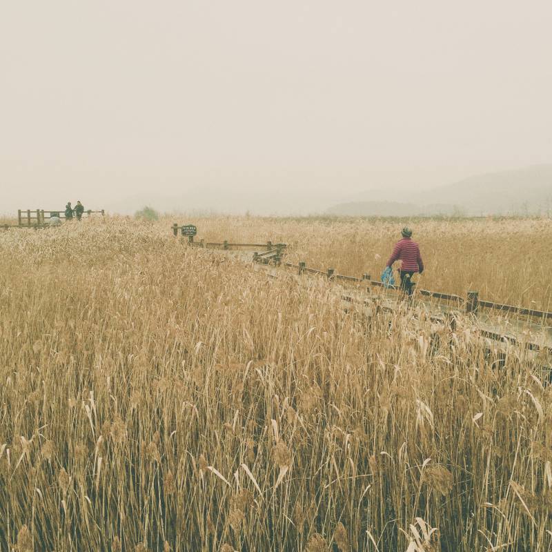 내가 찍은 사진 구경 할 사람~ | 인스티즈