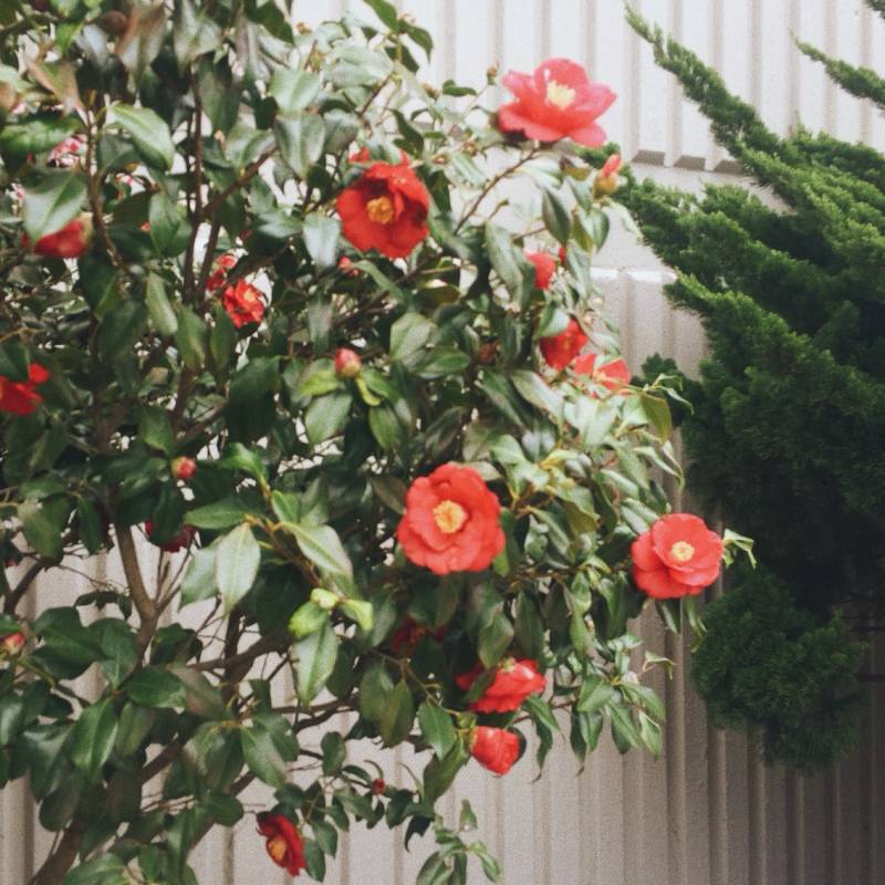 내가 찍은 사진 구경 할 사람~ | 인스티즈