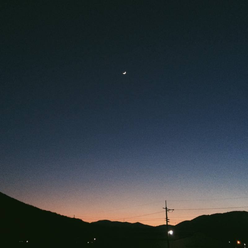 내가 찍은 사진 구경 할 사람~ | 인스티즈