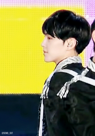 팬사랑 넘친다 넘쳐 (주어 세븐틴 | 인스티즈