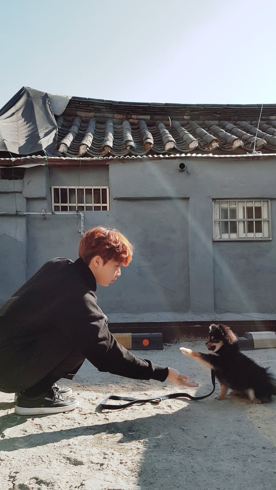 왼쪽이 댕댕이같은데 | 인스티즈