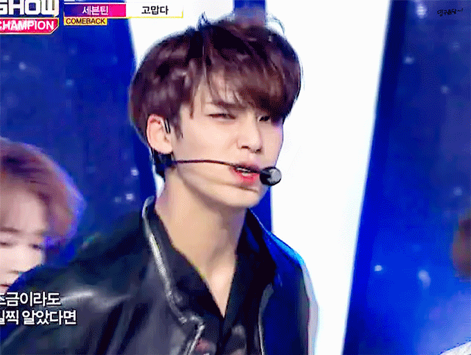 제 최애 보고 가주세요 | 인스티즈