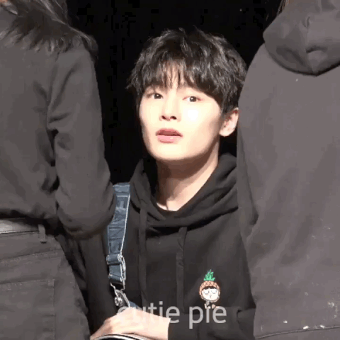 스키즈 아이엔 이거 너무 귀여워 - 인스티즈(instiz) 연예 카테고리