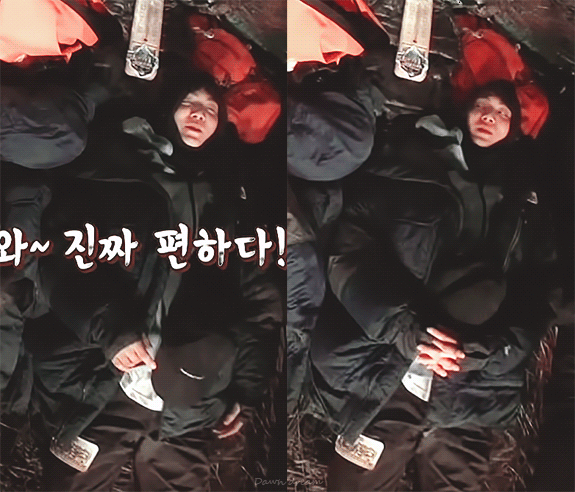 다들 정글에서 귀엽지만 짠했던 뉴종현을 봐줬으면.. | 인스티즈