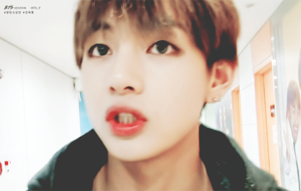 [방탄소년단] 애완동물 일곱 마리와 나 08 | 인스티즈