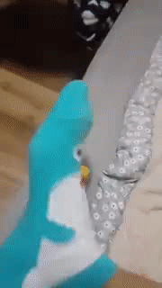 발연기장인.gif | 인스티즈