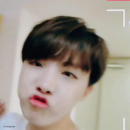 혹시 나 제이홉플 놓친 거니... | 인스티즈