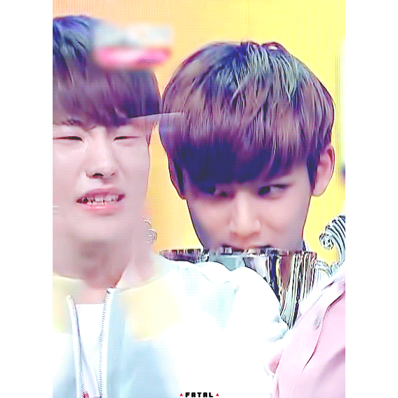 솔직히 잘 안우는 캐럿들도 세븐틴 데뷔첫 1위날 운 사람은 ㄹㅇ 많을걸? | 인스티즈