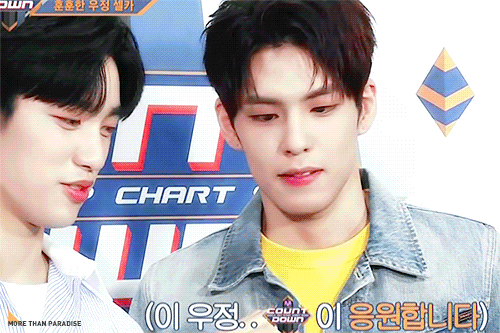 [잡담] 진영 원필 조합 인기 많은 이유..? | 인스티즈