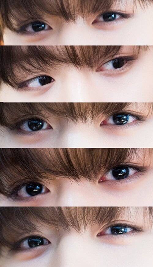 나중에 박지훈 사진들고가서 쌍수할 익들 이글 슼하셈임 | 인스티즈