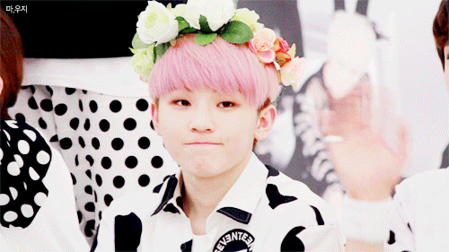 세븐틴 아낀다 입덕요정 | 인스티즈