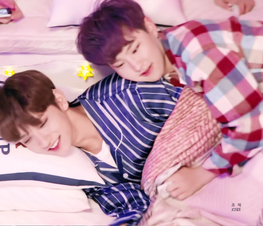 다들 호시 아이돌력 쩌는 끼부리는 애로만 알고있는데 | 인스티즈