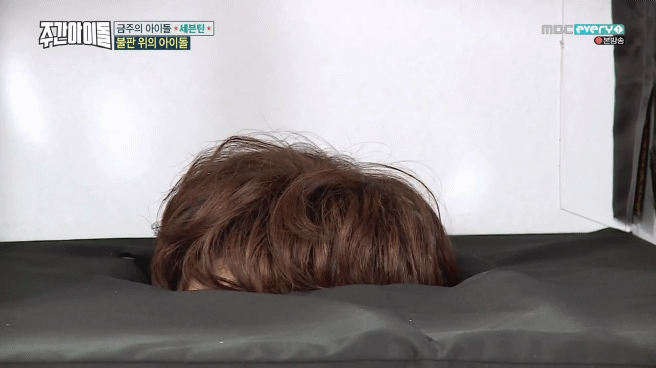 새벽이니... 애교 의인화 일상이 끼부리기인 남돌 올리고 사라집니다 | 인스티즈