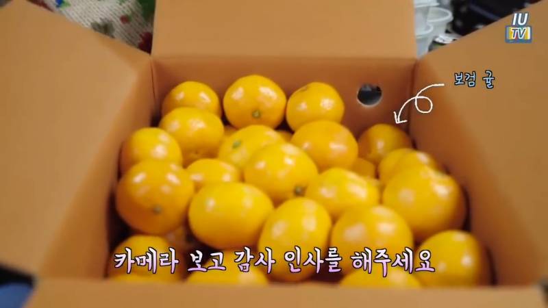 아이유팀까지 생각하는 보검복지부ㅋㅋㅋㅋㅋㅋ | 인스티즈