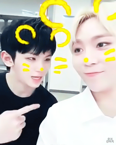 세븐틴 아무거나짤 모음 | 인스티즈