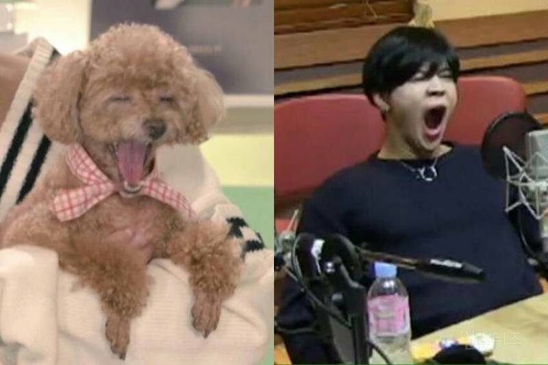 자기 방 들어와서 일코하다가 강퇴당한 아이돌 | 인스티즈