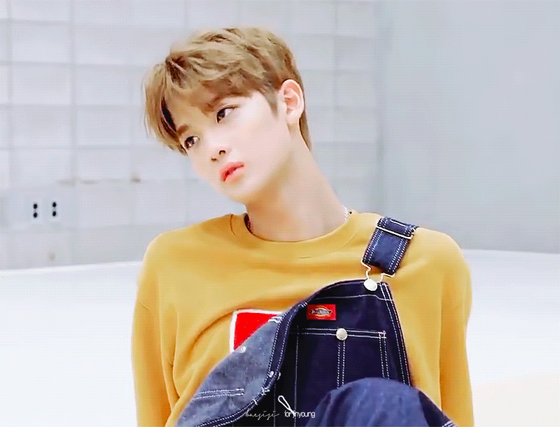 배진영 푸들머리에 멜빵입은거 또보고싶다 | 인스티즈