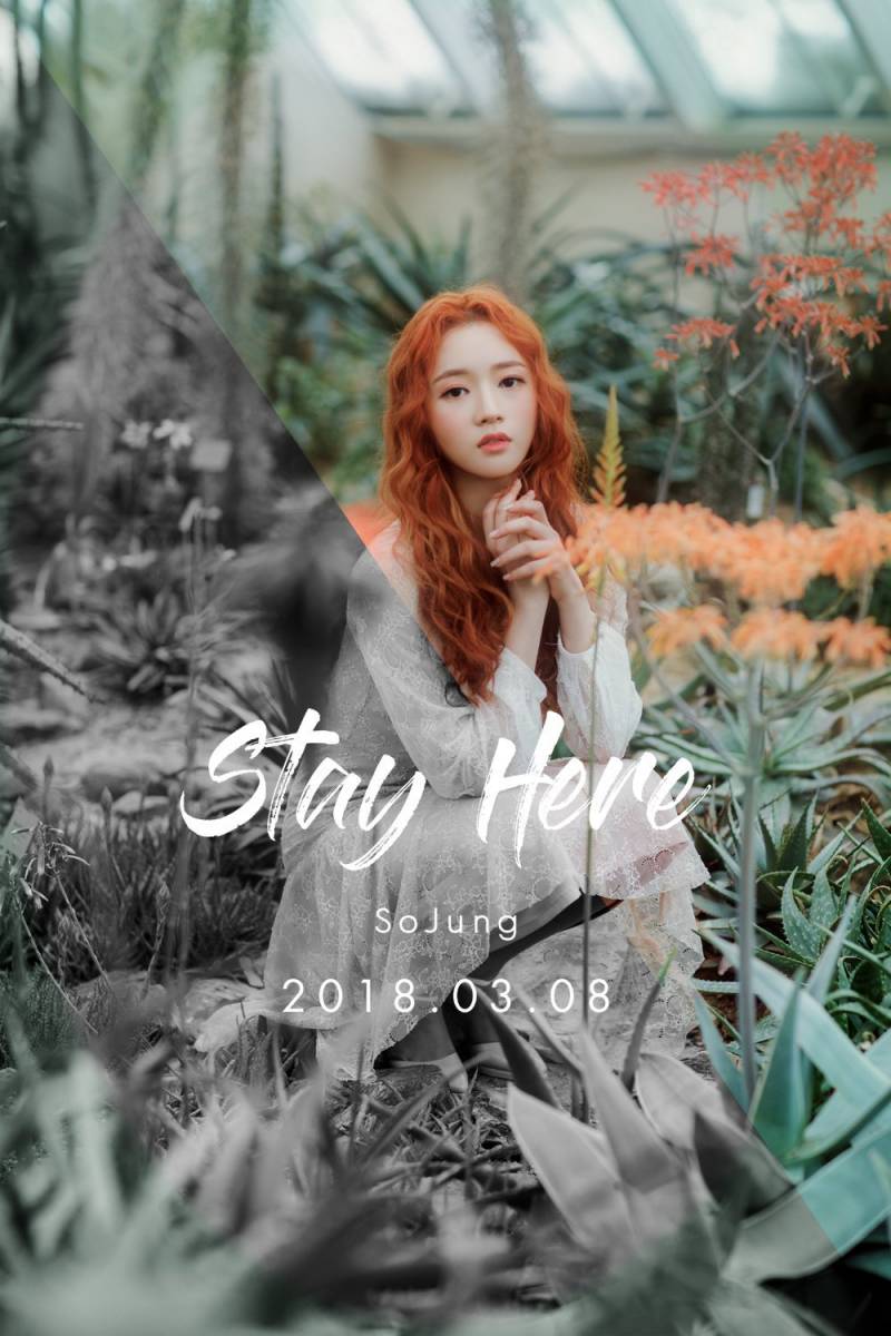 8일(목), ♥레이디스 코드 소정, Stay Here 공개♥ | 인스티즈