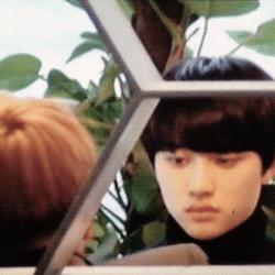 도경수 변백현 이짤도 ㄹㅇ 유명했는데 ㅋㅋㅋㅋ | 인스티즈