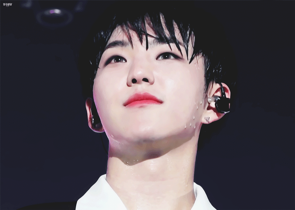 세븐틴 울고싶지않아 쇼케는 무슨일이 있었던갈까..? | 인스티즈