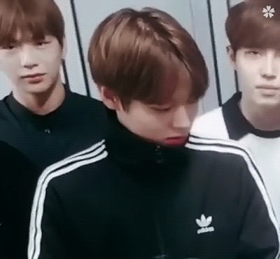 [박지훈] 내가 보고싶어서 쓰는 썰 2 (부제:피해다니기) | 인스티즈