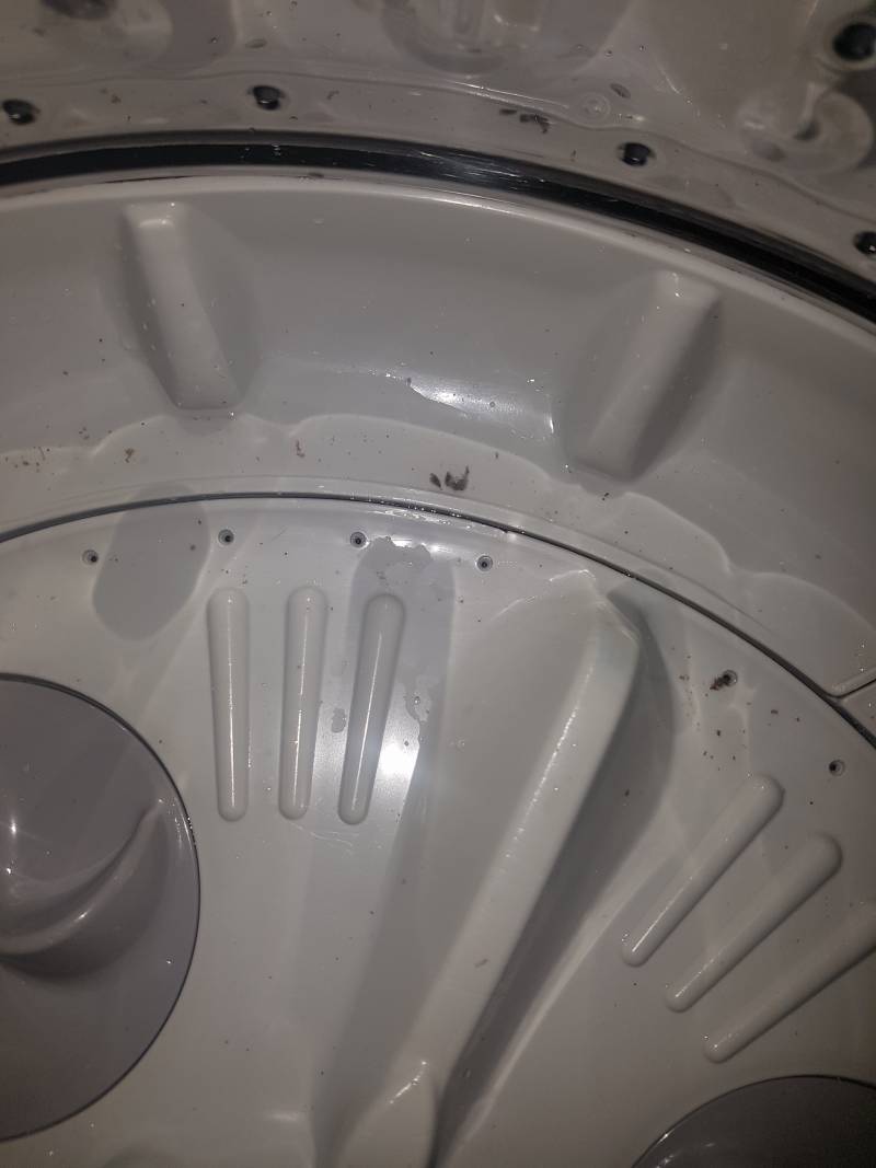 세탁기안에 저런 때있는데 없애는방법아는익인있니ㅠㅠ | 인스티즈