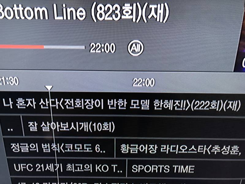 아니 지금 나혼자산다 재방 제목들 ㅋㅋㅋㅋ | 인스티즈