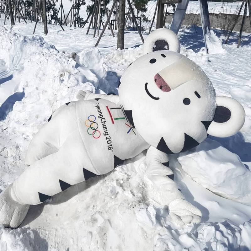 아 수호랑 퇴근하고 영혼빠진 나 같아 ㅋㅋㅋㅋㅋㅋㅋㅋㅋㅋㅋㅋㅋㅋㅋㅋㅋ | 인스티즈