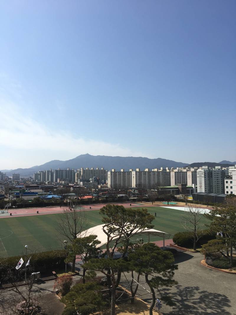 오늘 전주 날씨 최고시다 | 인스티즈